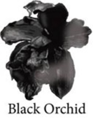 Black_orchid
